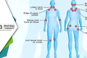 Fibromyalgia: Management Of Chronic Pain And Fatigue By Physiotherapy