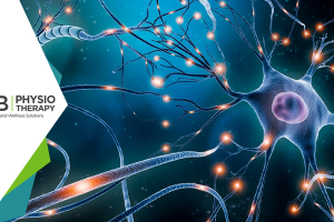 Multiple Sclerosis: Regaining Of Strength And Function By Physiotherapy