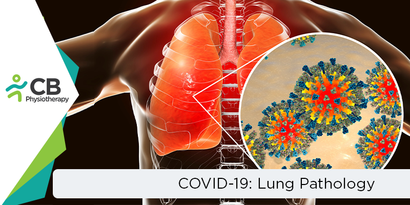 Covid-19 And Related Lung Pathology