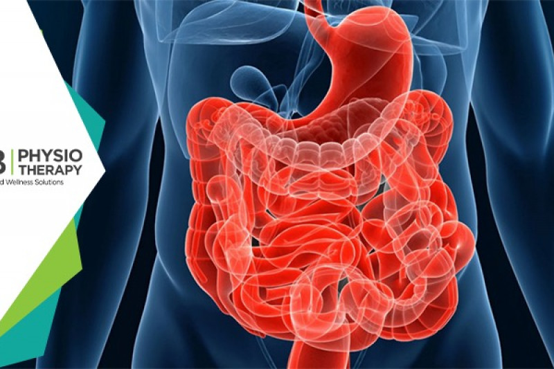Management And Prevention Of Bowel Dysfunction By Physiotherapy