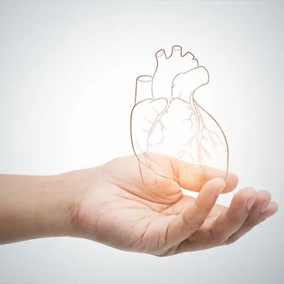 Cardio Respiratory Physiotherapist