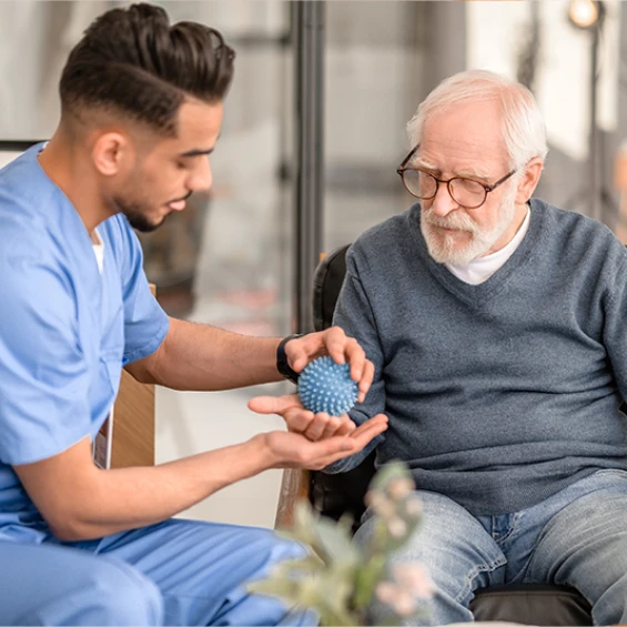 Geriatric Physiotherapist