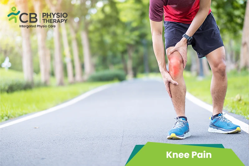 Knee Pain